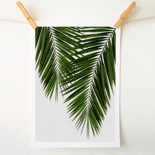Palm Leaf II - original art prints by Orara Studio for ART WOW